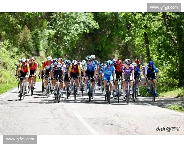 拉普大学生迎战兵工厂焦点对决解析胜负关键与看点全面前瞻战术走向